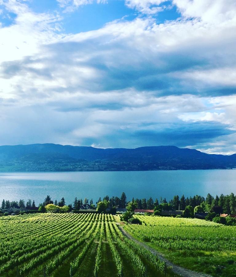 Summerhill Estate House Bed & Breakfast Kelowna Exterior foto